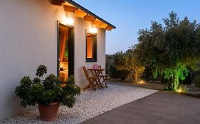 Olive Grove